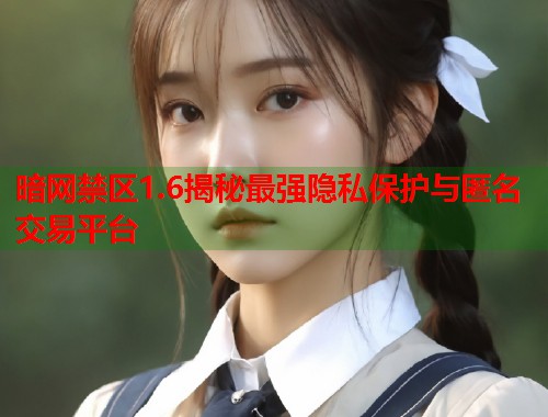 暗网禁区1.6揭秘最强隐私保护与匿名交易平台
