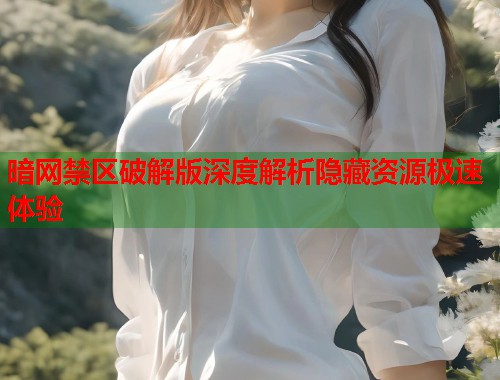 暗网禁区破解版深度解析隐藏资源极速体验