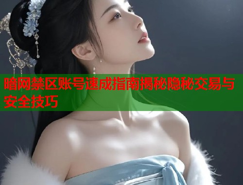 暗网禁区账号速成指南揭秘隐秘交易与安全技巧