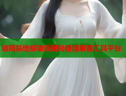 暗网禁地解破版揭秘最强黑客工具平台