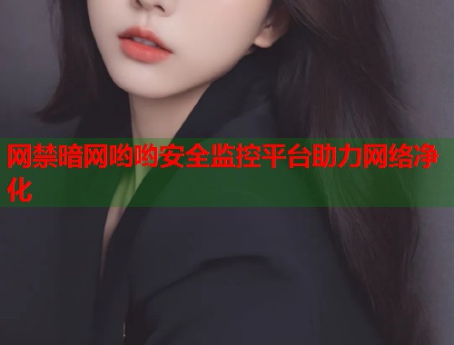 网禁暗网哟哟安全监控平台助力网络净化