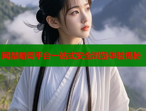 网禁暗网平台一站式安全浏览体验揭秘 网禁暗网平台一站式安全浏览体验揭秘