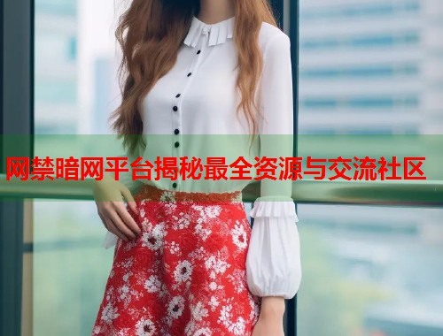 网禁暗网平台揭秘最全资源与交流社区