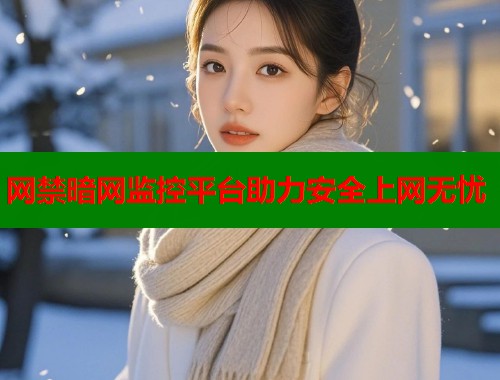 网禁暗网监控平台助力安全上网无忧