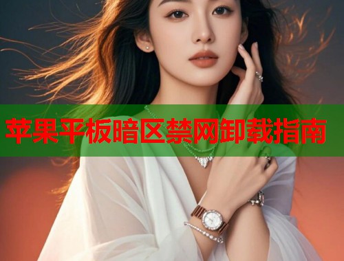 苹果平板暗区禁网卸载指南