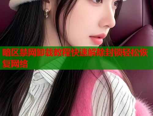 暗区禁网卸载教程快速解除封锁轻松恢复网络