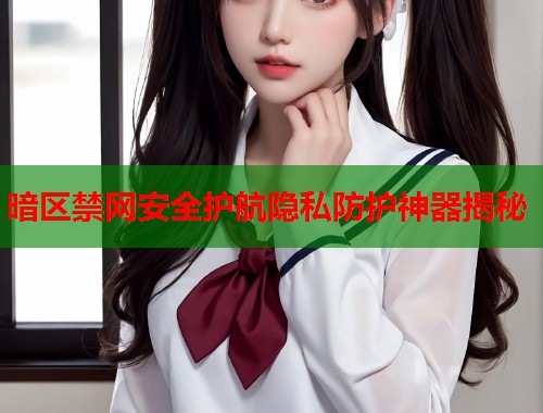 暗区禁网安全护航隐私防护神器揭秘