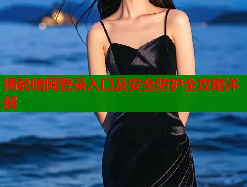 揭秘暗网登录入口及安全防护全攻略详解