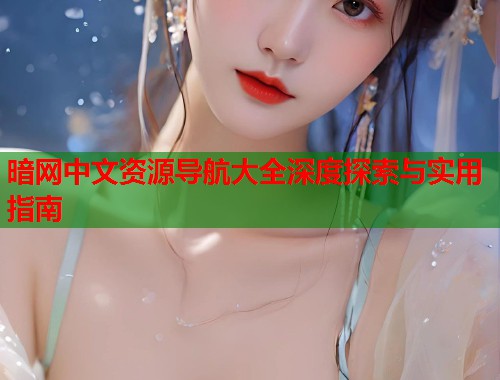 暗网中文资源导航大全深度探索与实用指南