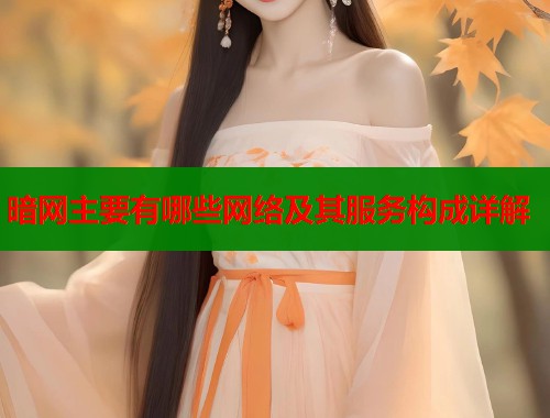 暗网主要有哪些网络及其服务构成详解