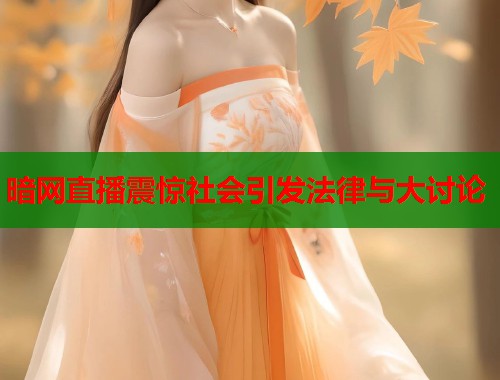 暗网直播震惊社会引发法律与大讨论