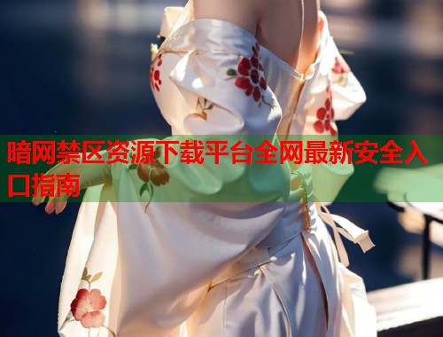 暗网禁区资源下载平台全网最新安全入口指南