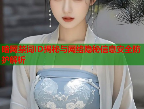 暗网禁词ID揭秘与网络隐秘信息安全防护解析