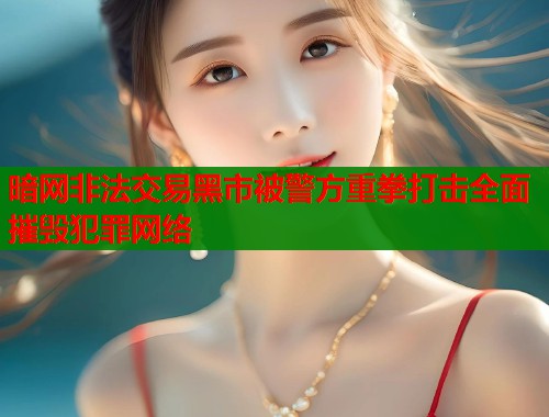 暗网非法交易黑市被警方重拳打击全面摧毁犯罪网络