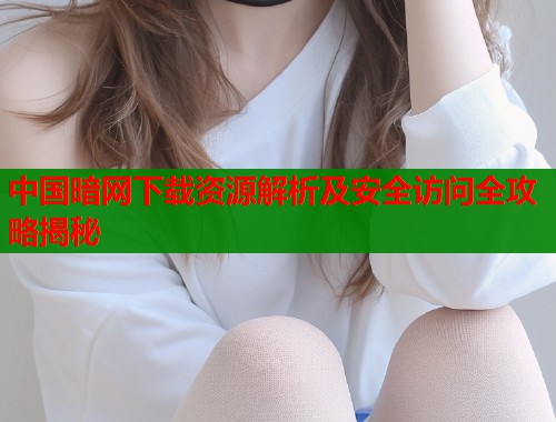 中国暗网下载资源解析及安全访问全攻略揭秘