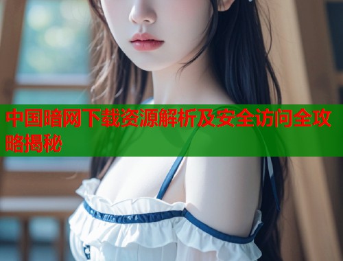 中国暗网下载资源解析及安全访问全攻略揭秘