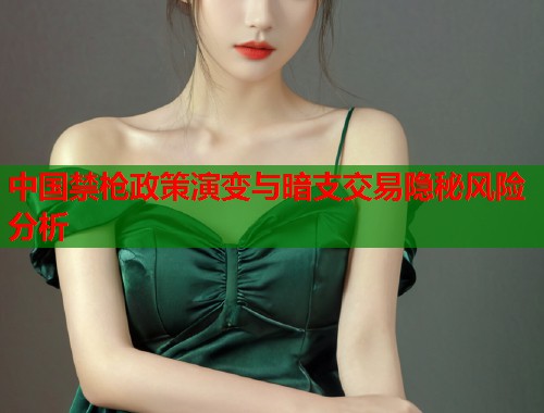 中国禁枪政策演变与暗支交易隐秘风险分析