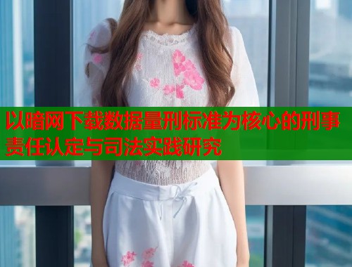 以暗网下载数据量刑标准为核心的刑事责任认定与司法实践研究