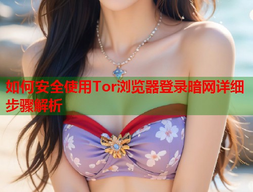 如何安全使用Tor浏览器登录暗网详细步骤解析