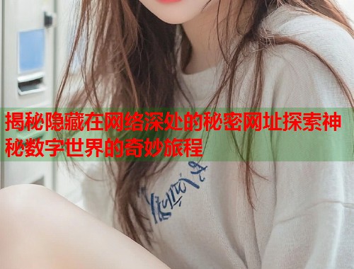 揭秘隐藏在网络深处的秘密网址探索神秘数字世界的奇妙旅程