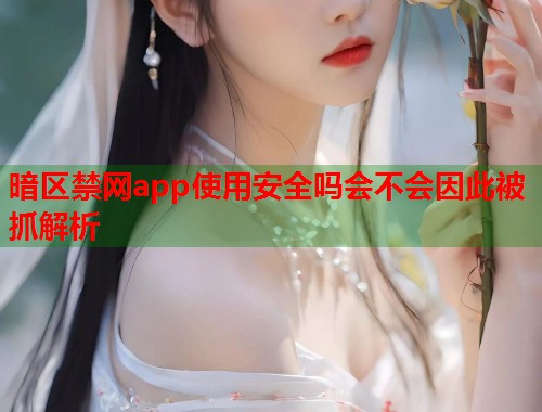 暗区禁网app使用安全吗会不会因此被抓解析