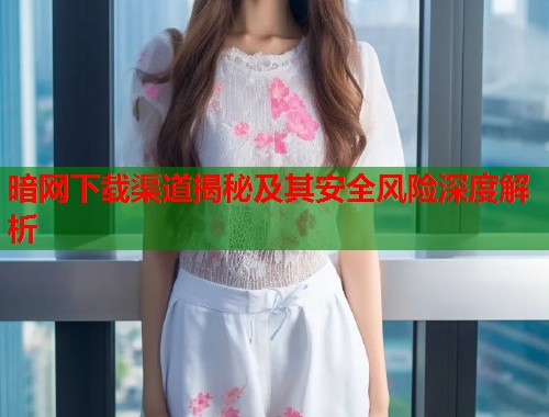 暗网下载渠道揭秘及其安全风险深度解析