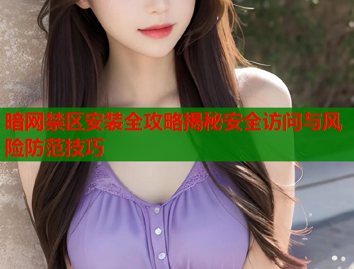 暗网禁区安装全攻略揭秘安全访问与风险防范技巧