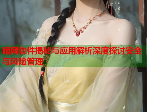 暗网软件揭秘与应用解析深度探讨安全与风险管理