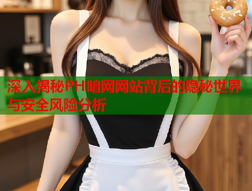 深入揭秘PH暗网网站背后的隐秘世界与安全风险分析