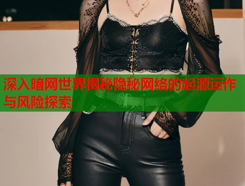 深入暗网世界揭秘隐秘网络的起源运作与风险探索