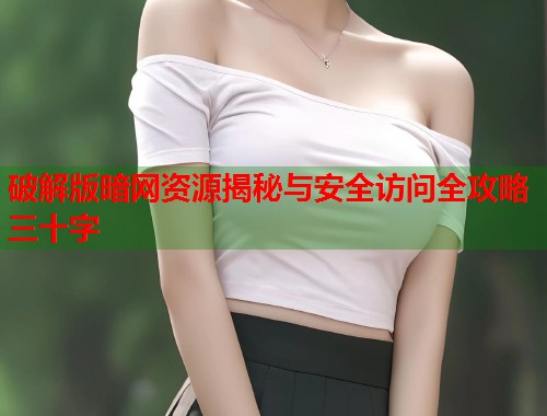 破解版暗网资源揭秘与安全访问全攻略三十字