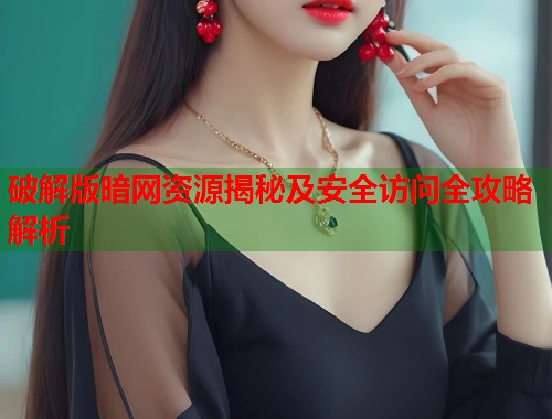 破解版暗网资源揭秘及安全访问全攻略解析