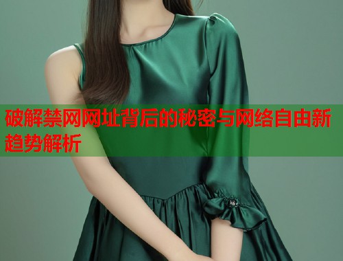 破解禁网网址背后的秘密与网络自由新趋势解析