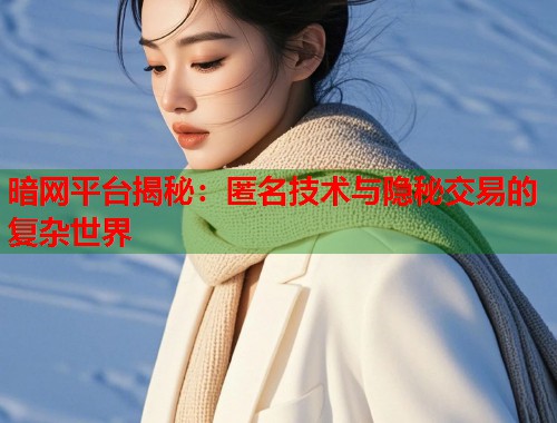 暗网平台揭秘:匿名技术与隐秘交易的复杂世界 暗网平台揭秘:匿名技术与隐秘交易的复杂世界