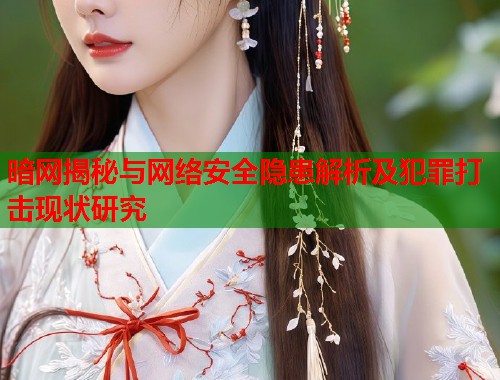 暗网揭秘与网络安全隐患解析及犯罪打击现状研究 暗网揭秘与网络安全隐患解析及犯罪打击现状研究