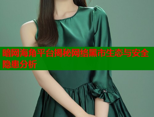 暗网海角平台揭秘网络黑市生态与安全隐患分析 暗网海角平台揭秘网络黑市生态与安全隐患分析