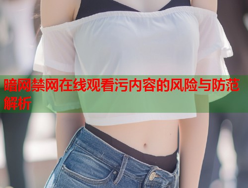 暗网禁网在线观看污内容的风险与防范解析