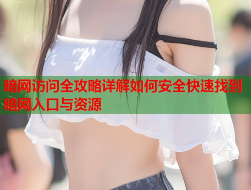 暗网访问全攻略详解如何安全快速找到暗网入口与资源