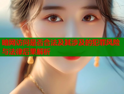 暗网访问是否合法及其涉及的犯罪风险与法律后果解析