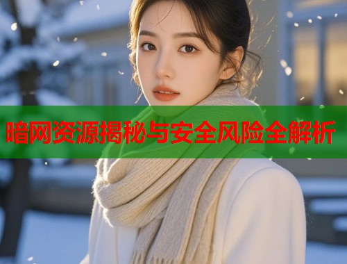 暗网资源揭秘与安全风险全解析