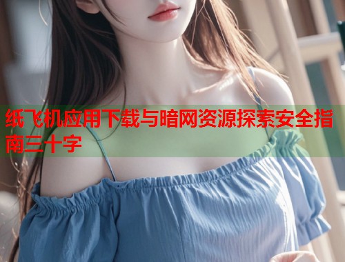 纸飞机应用下载与暗网资源探索安全指南三十字