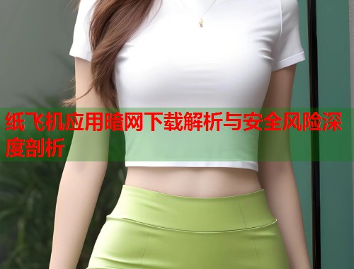 纸飞机应用暗网下载解析与安全风险深度剖析