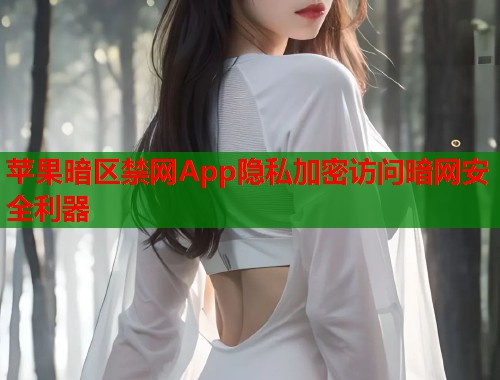 苹果暗区禁网App隐私加密访问暗网安全利器